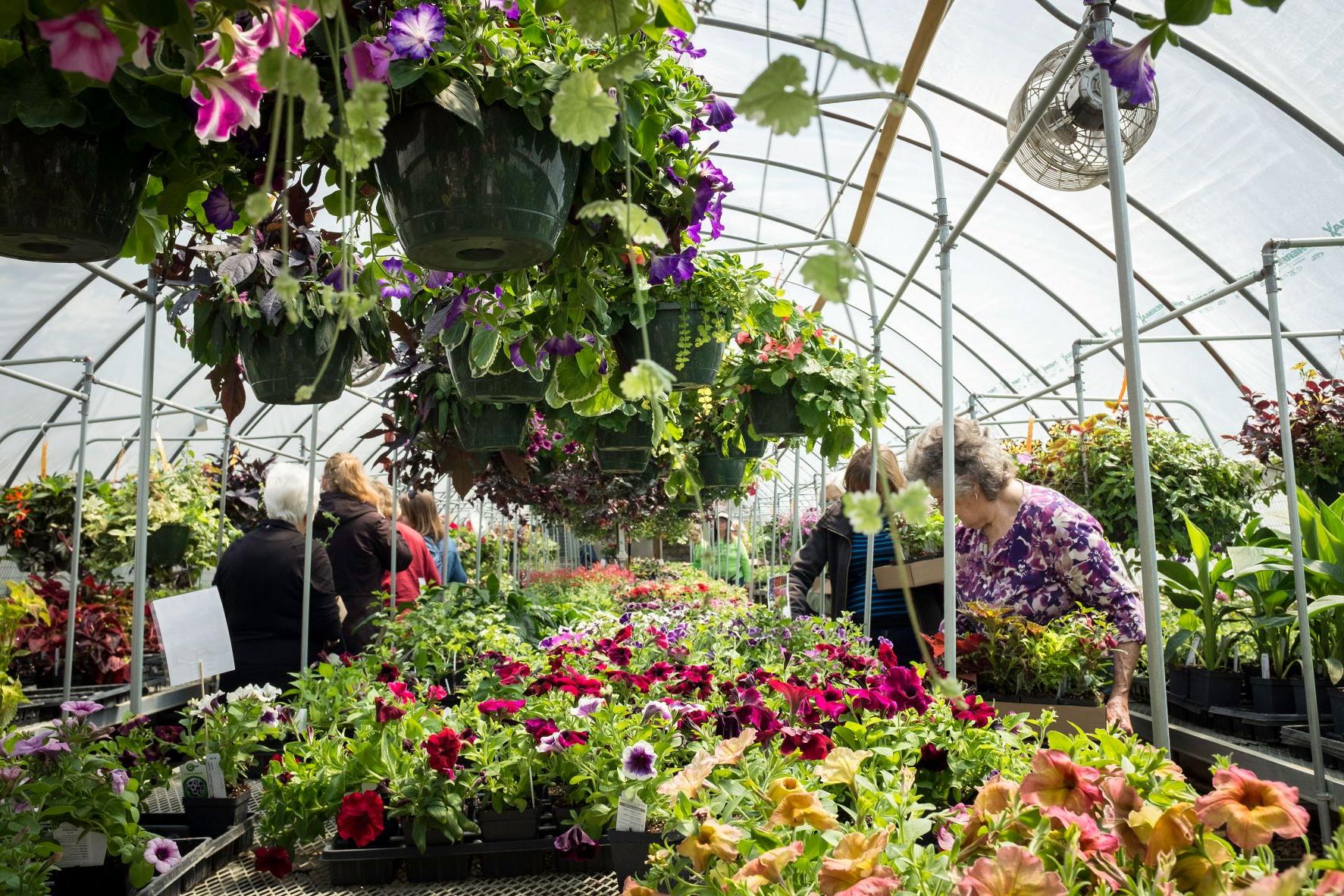 HTC Spring Plant Sale Greenhouse