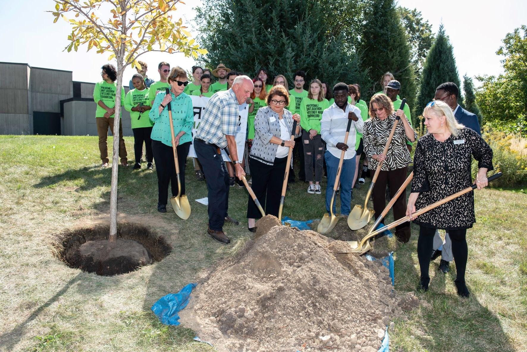 Tree planting